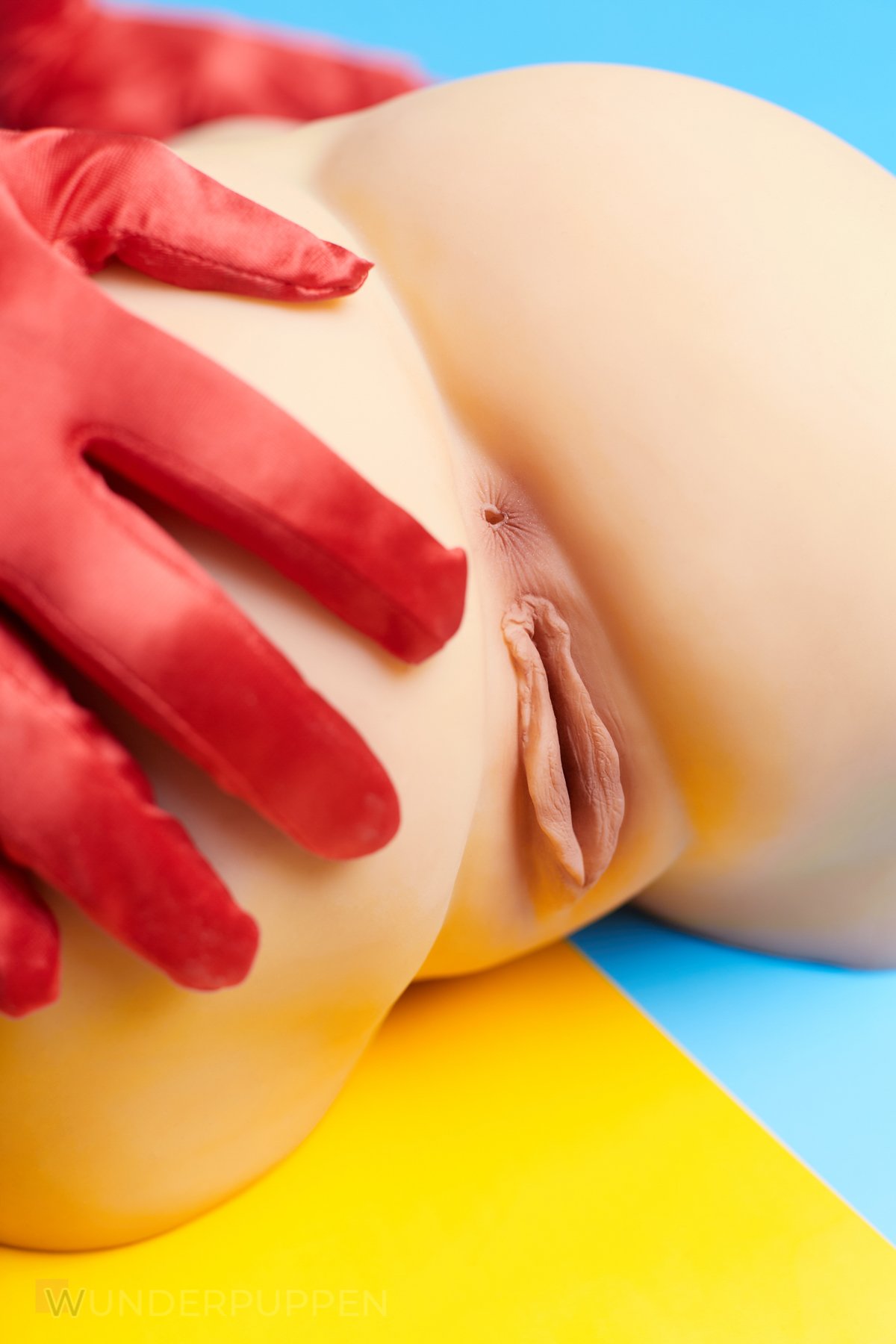 Torso Hintern – Bild 6