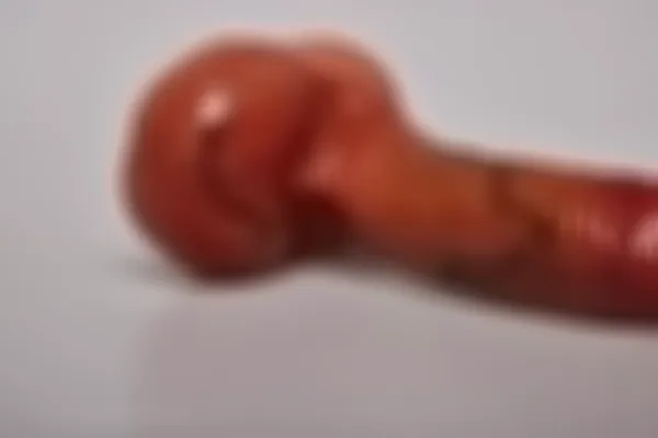 Realistischer Dildo - 15 cm leicht gewölbt – Bild 9