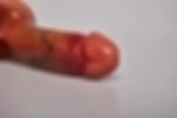 Realistischer Dildo - 15 cm leicht gewölbt – Bild 6