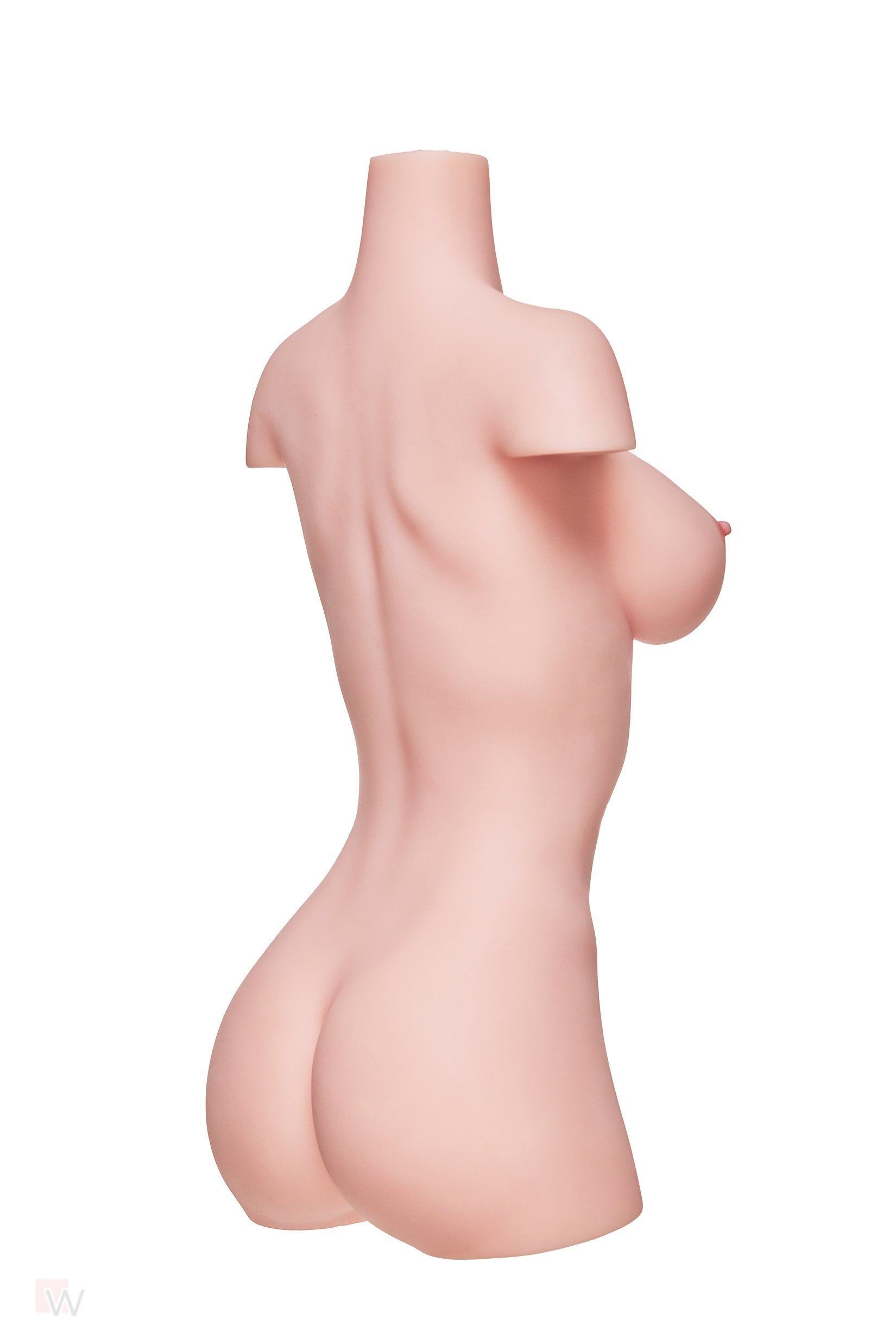 Sex Doll Torso Akiko – Bild 4
