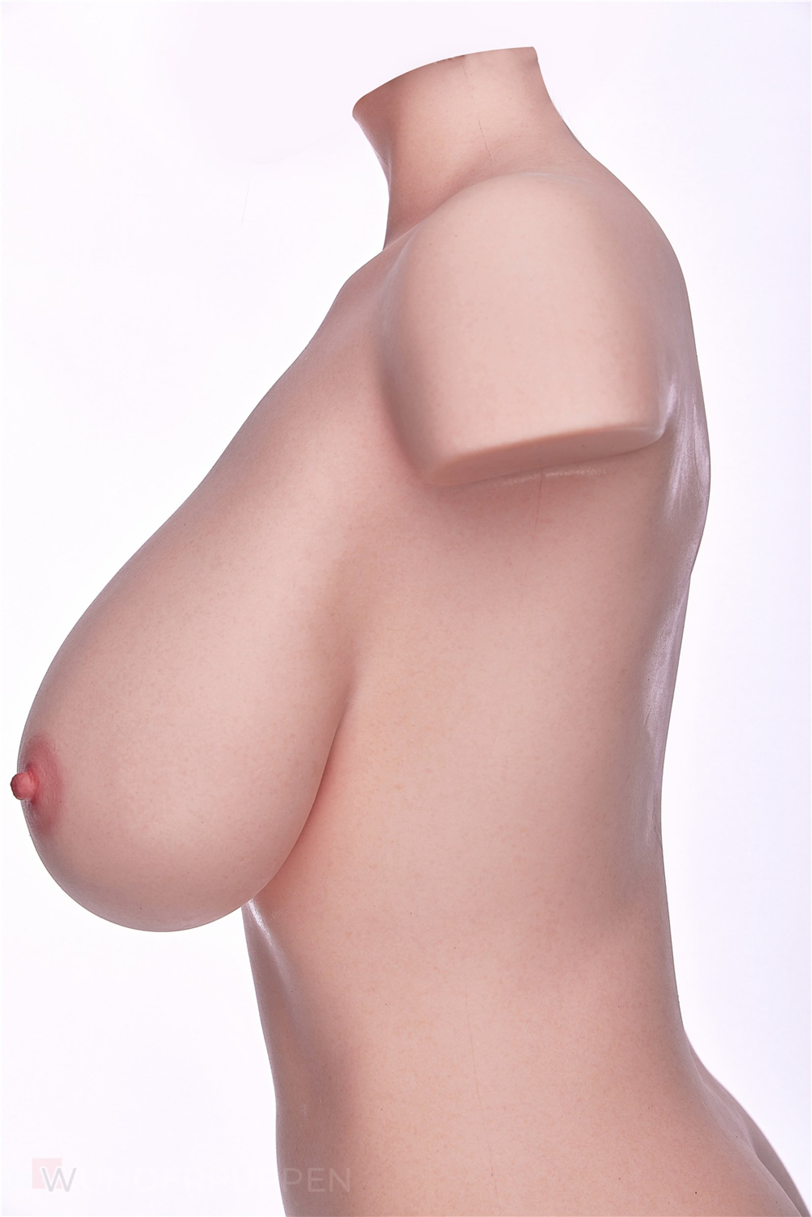 Sex Doll Torso Rebecca – Bild 4