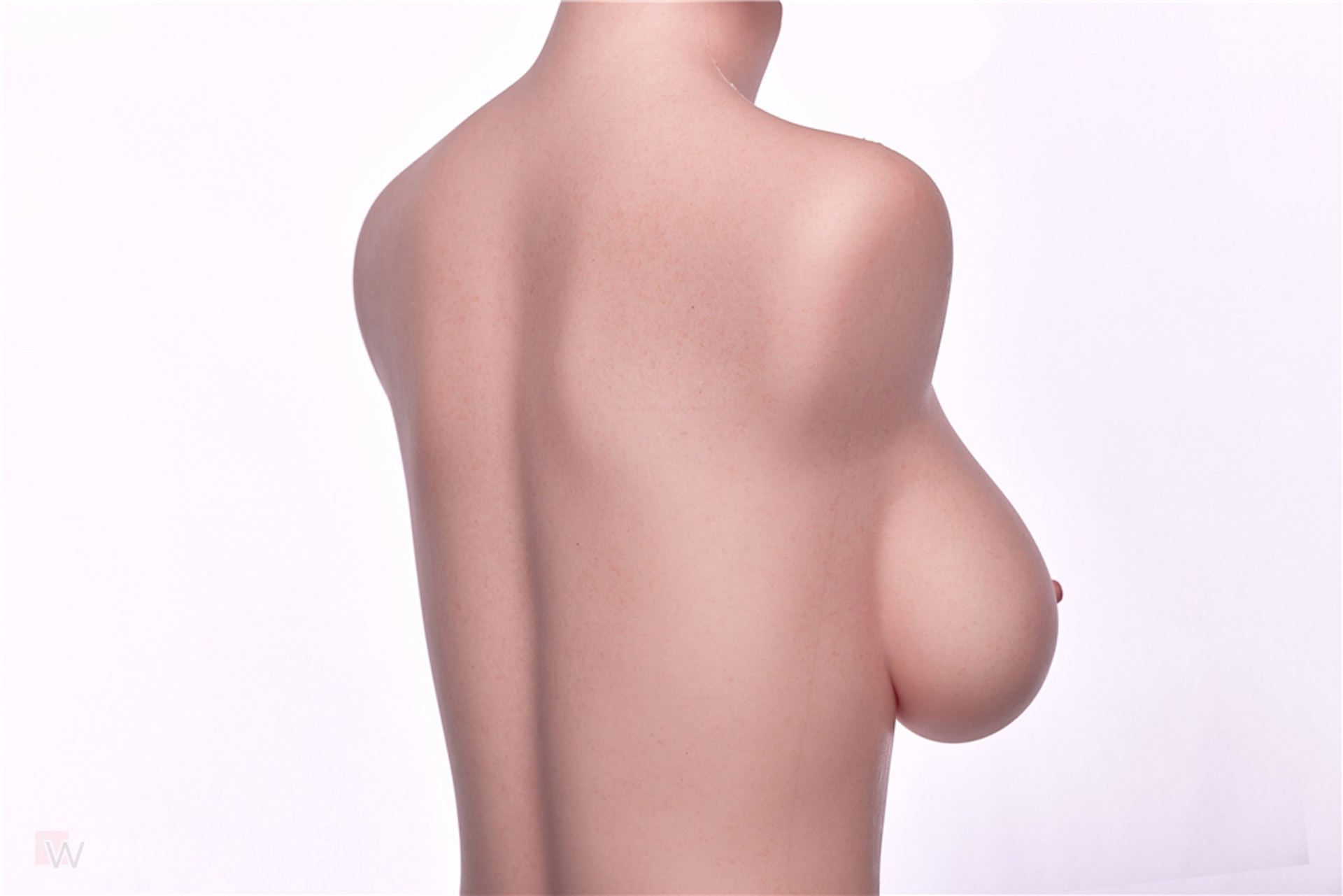 Sex Doll Torso Monica – Bild 19