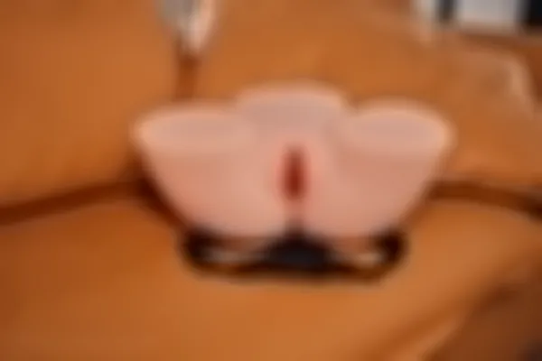 Sex Torso Miwa