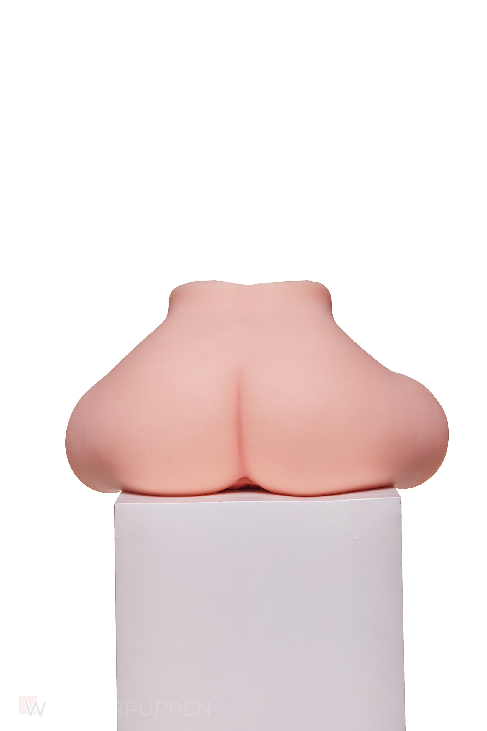 Sex Torso Miwa – Bild 8