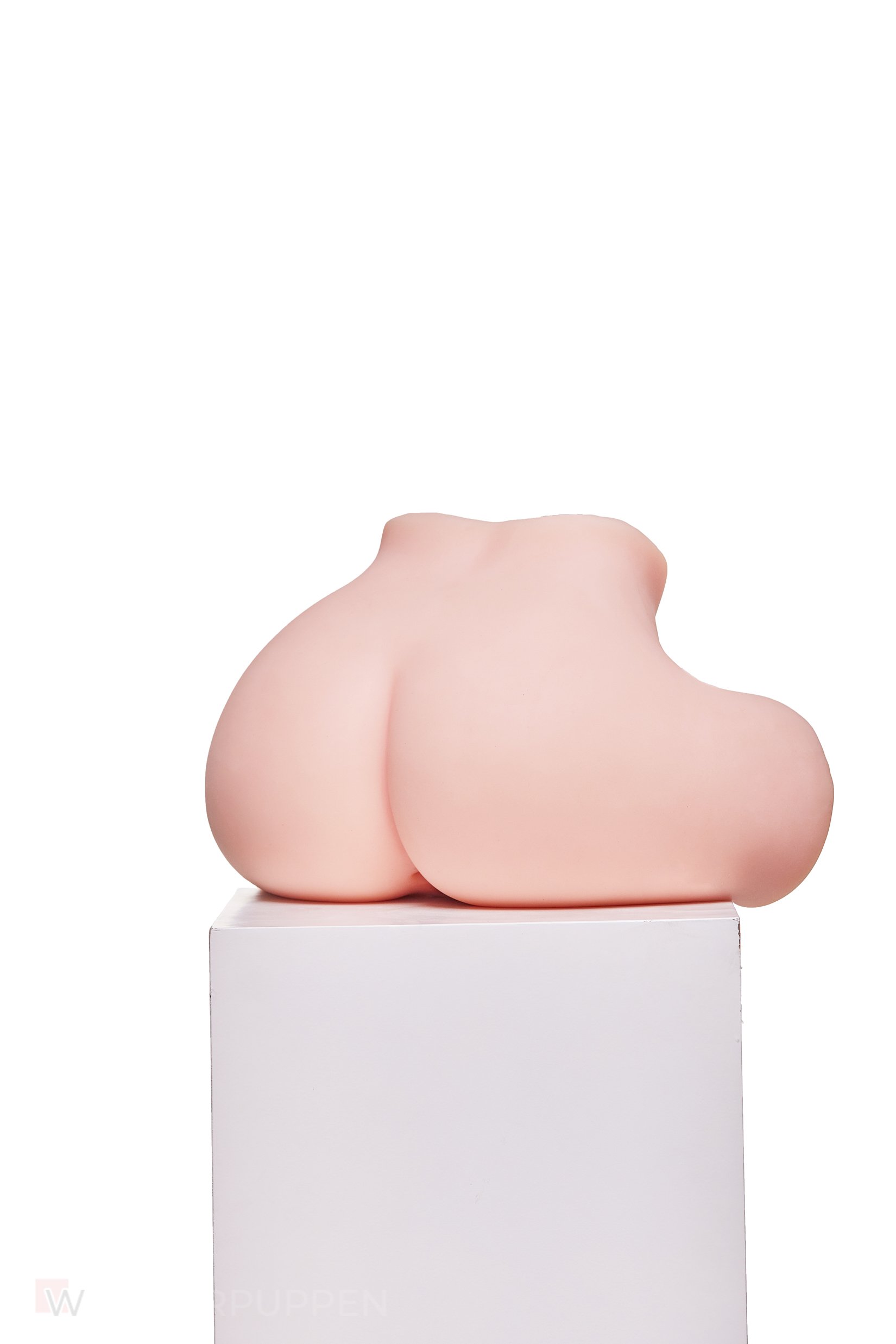 Sex Torso Miwa – Bild 6
