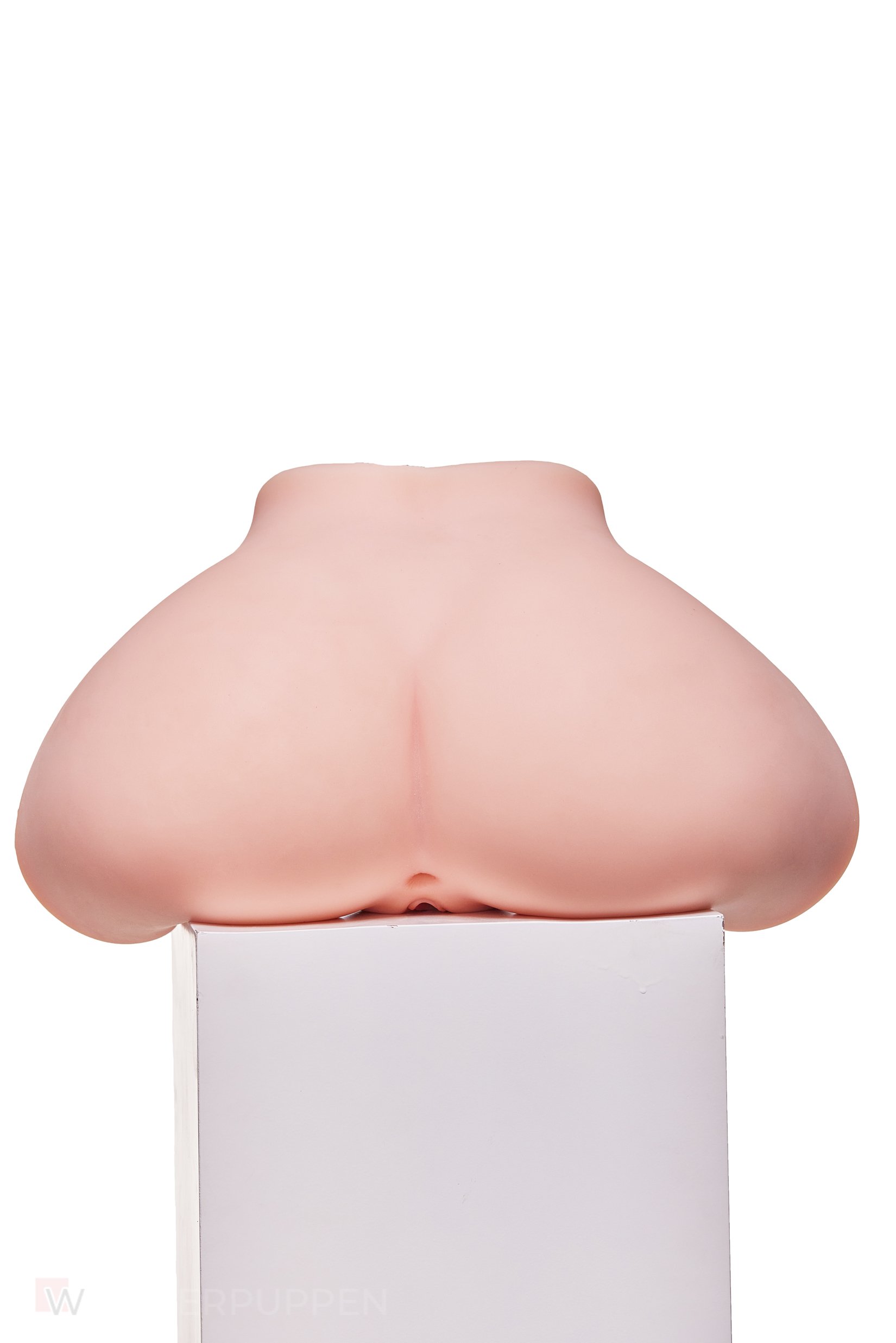 Sex Torso Vanessa – Bild 5