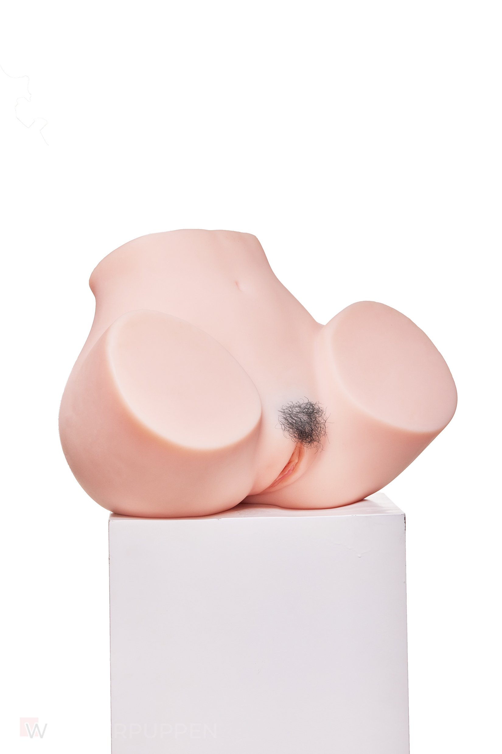 Sex Torso Vanessa – Bild 2