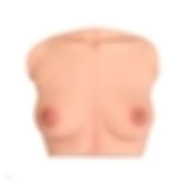 CLM - Torso Brüste B61
