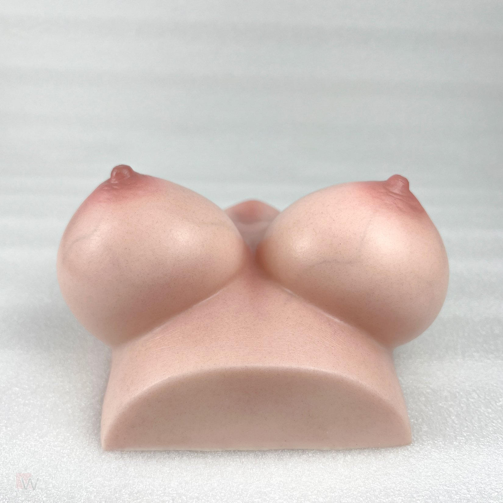 CLM - Torso Brüste B53 – Bild 16