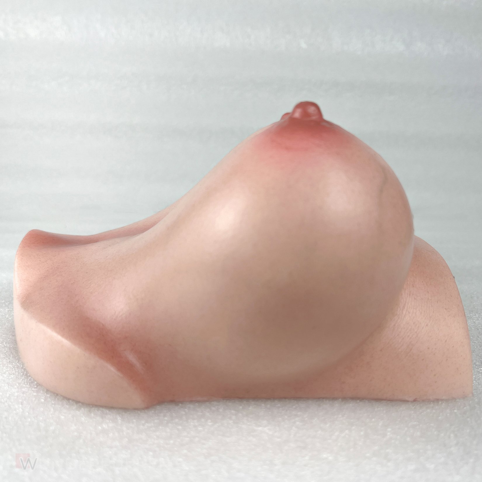 CLM - Torso Brüste B53 – Bild 17