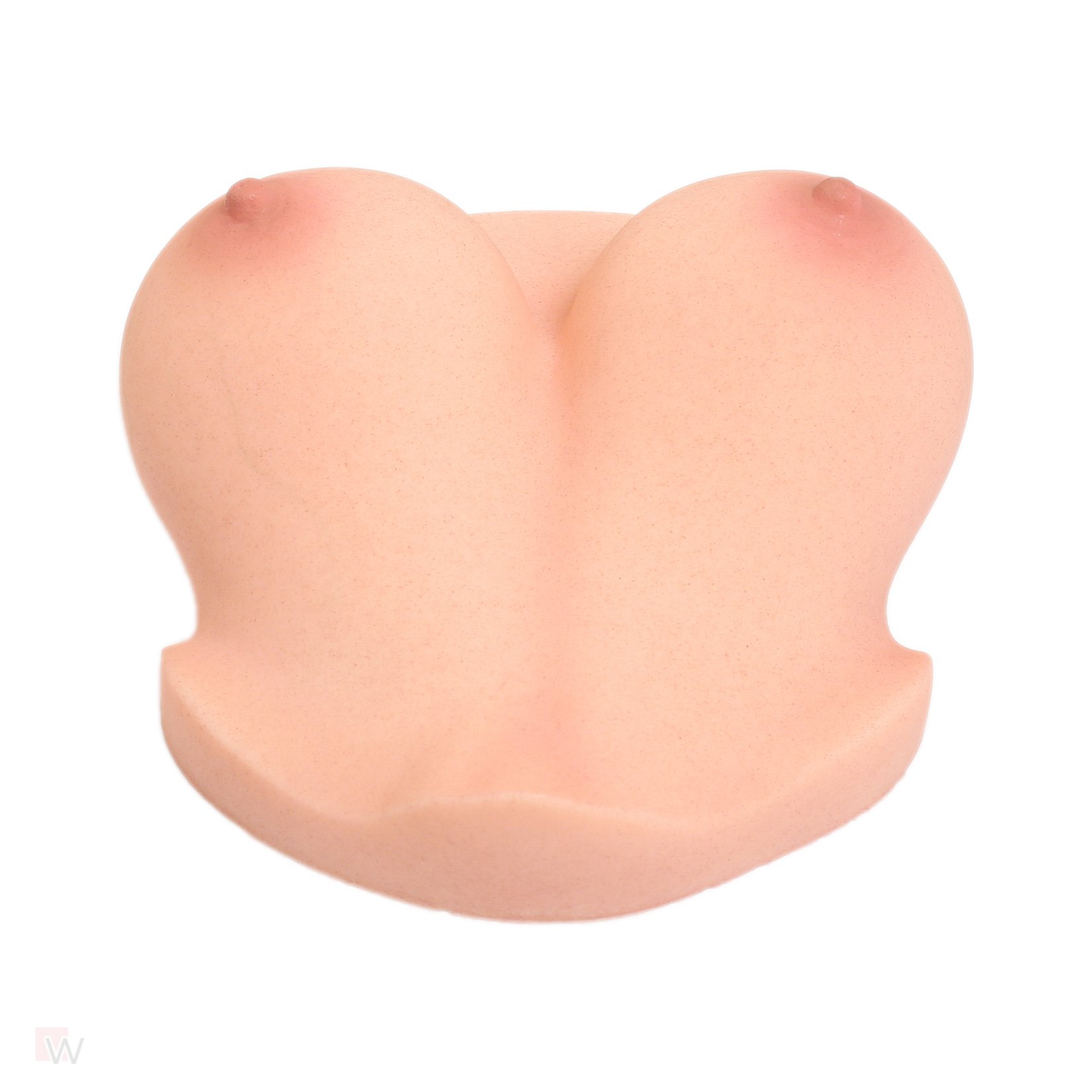 CLM - Torso Brüste B53 – Bild 6