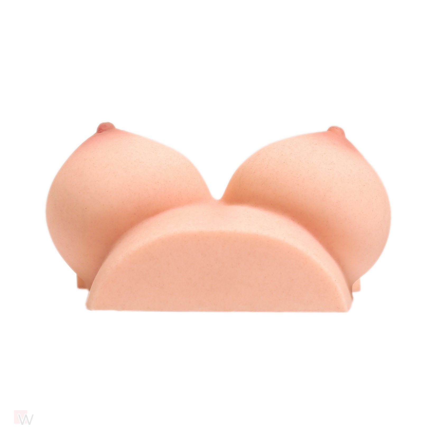 CLM - Torso Brüste B53 – Bild 4
