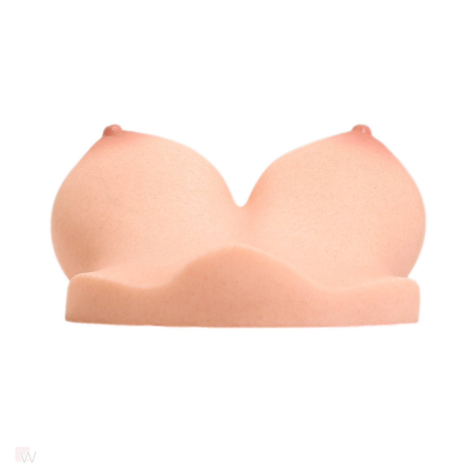 CLM - Torso Brüste B53 – Bild 3