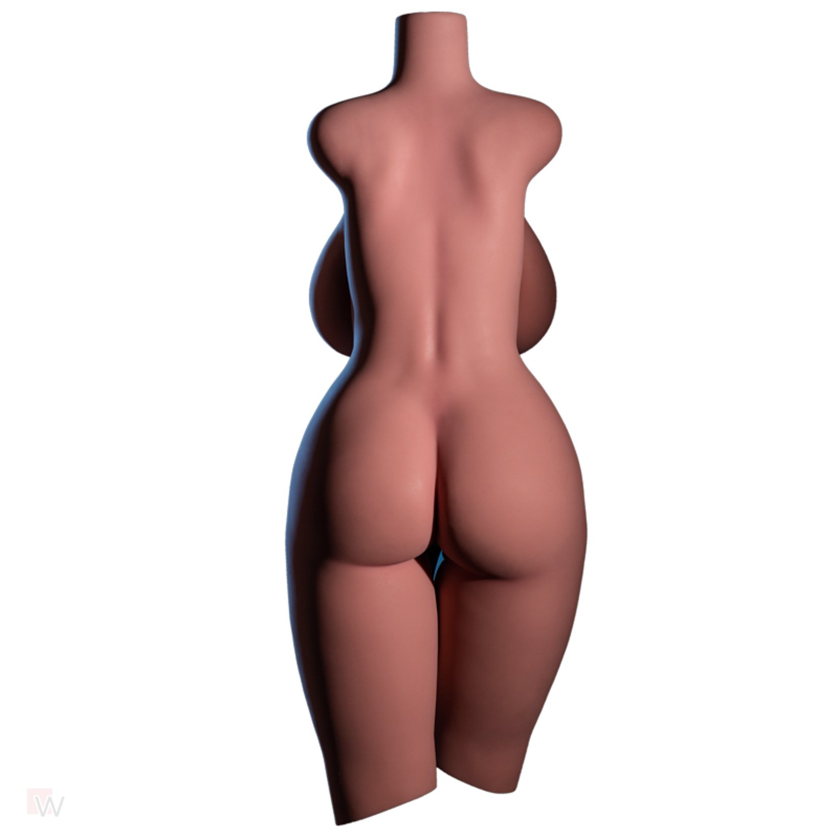 Torso #870 – Bild 10
