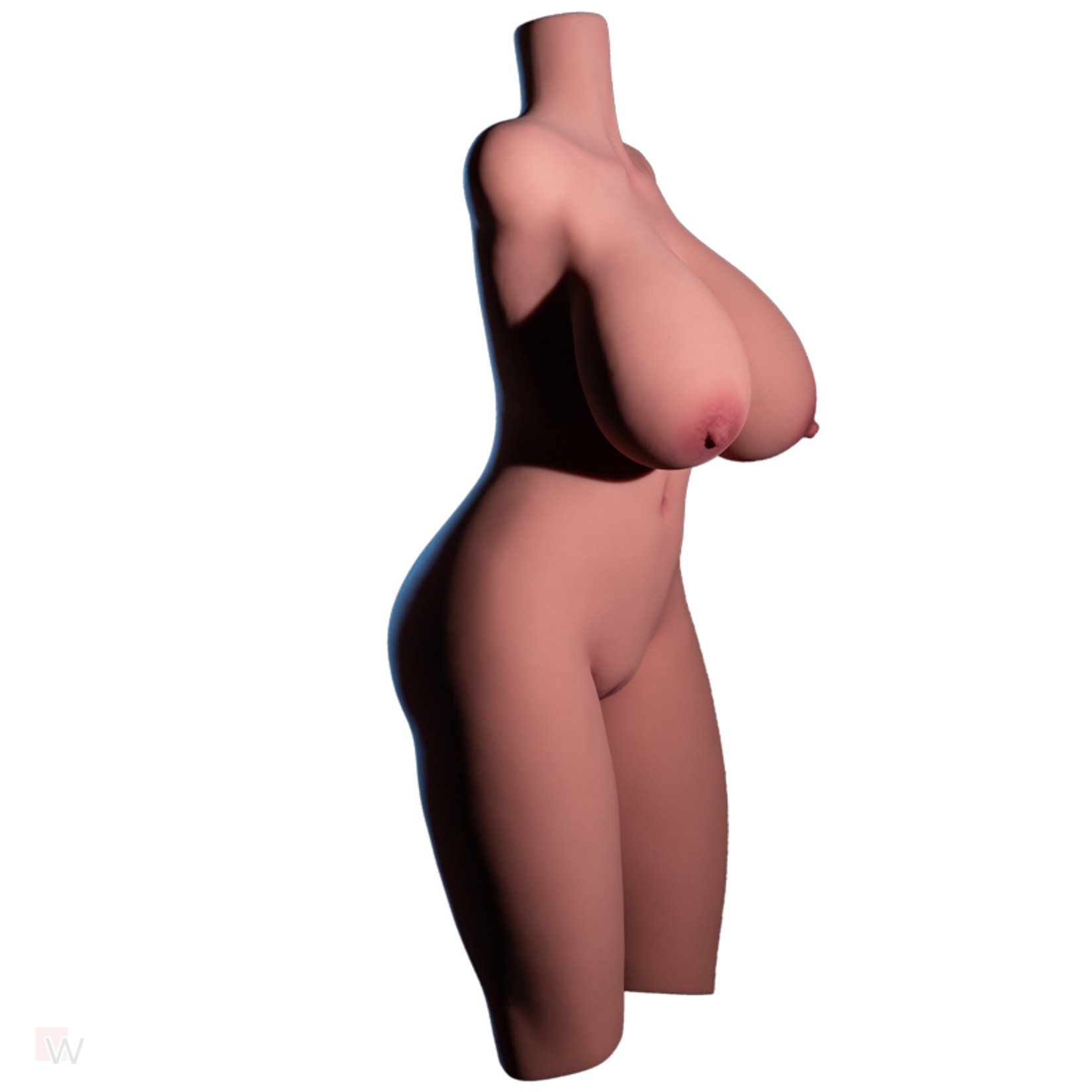 Torso #870 – Bild 9