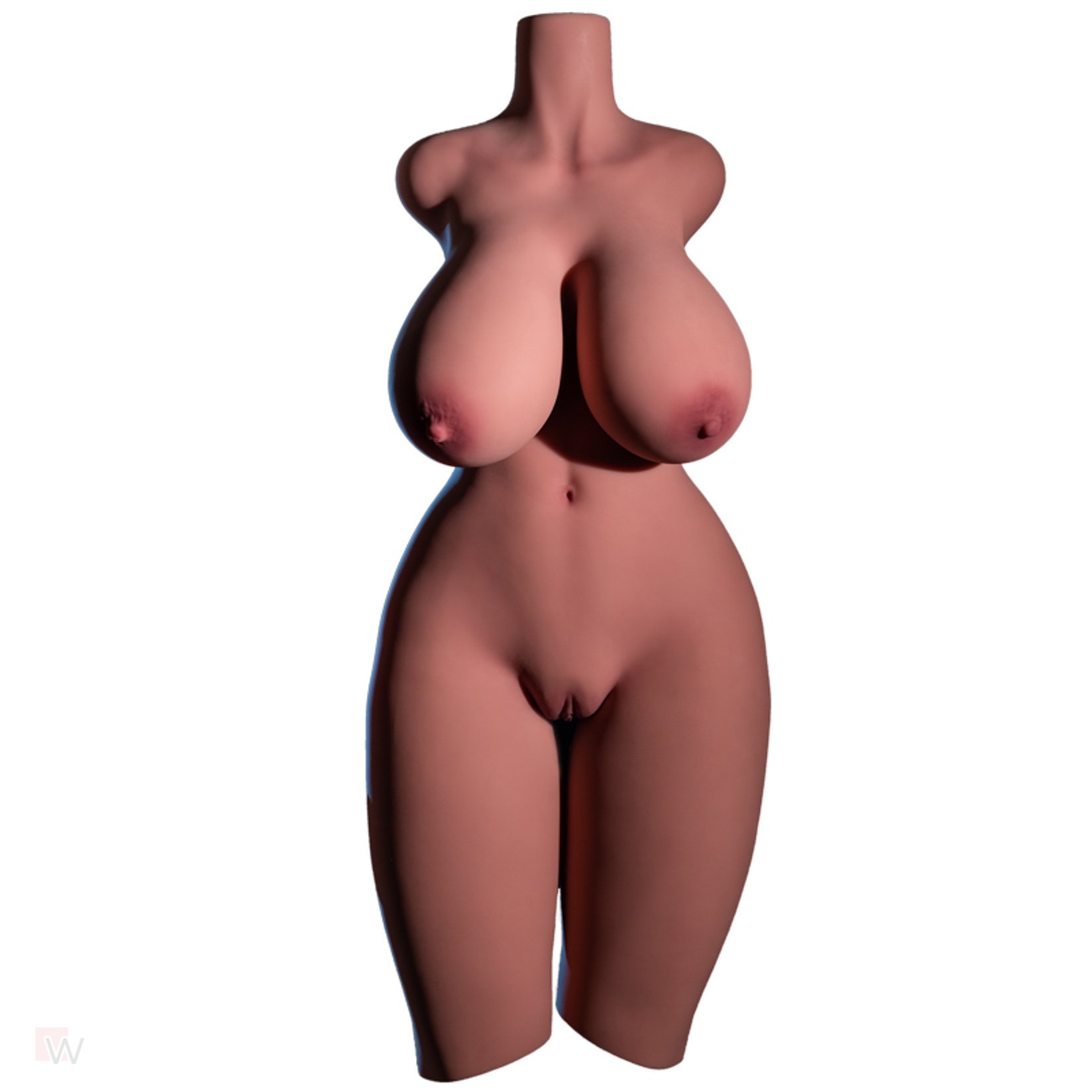Torso #870 – Bild 8