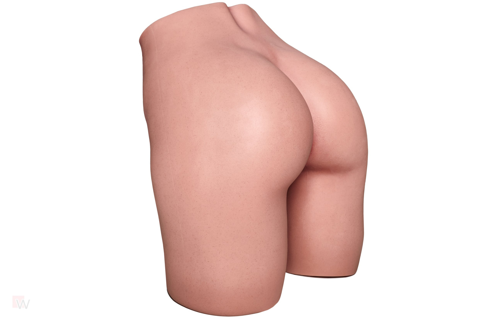 CLM - RS-1 Torso Hintern – Bild 31