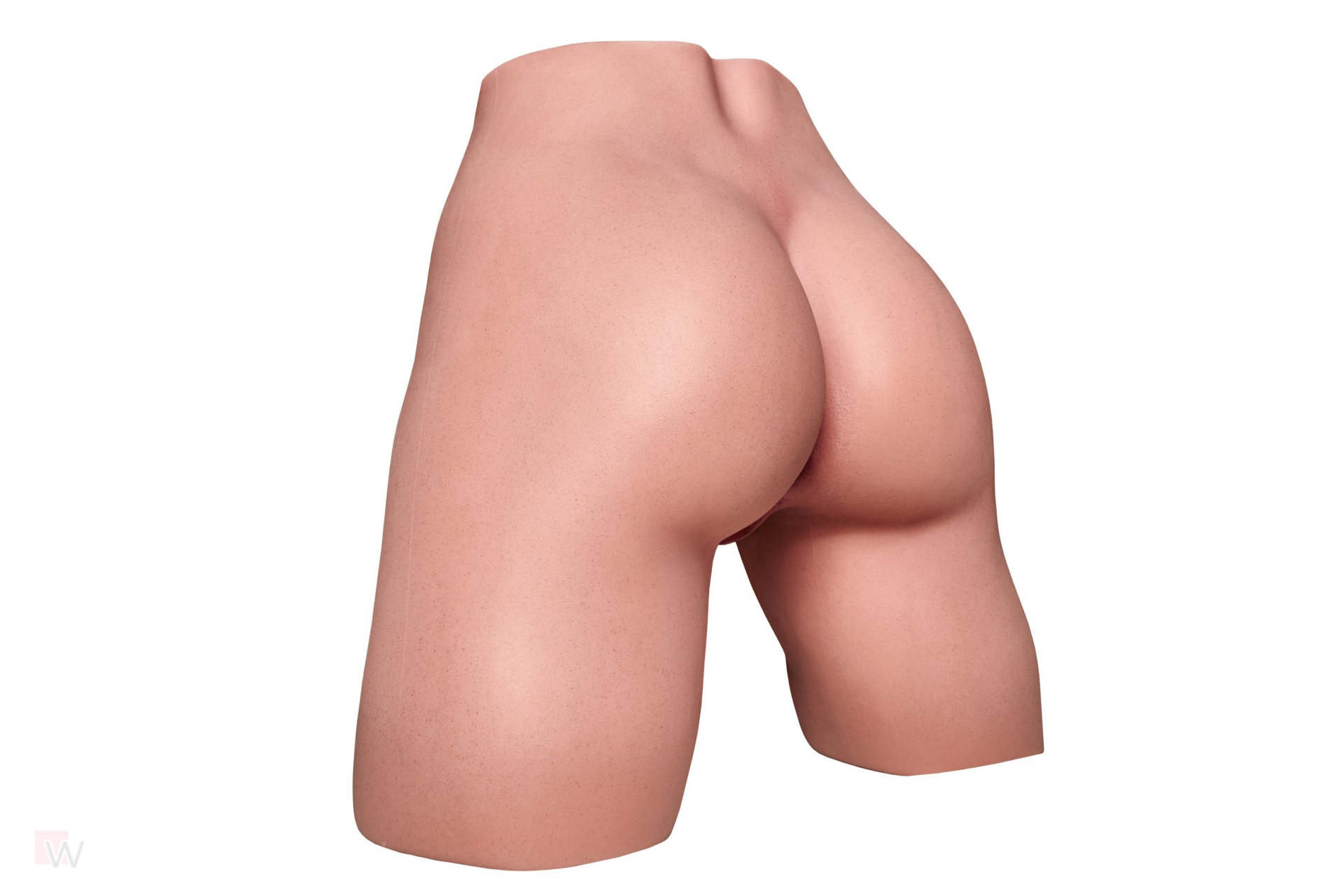 CLM - RS-1 Torso Hintern – Bild 24