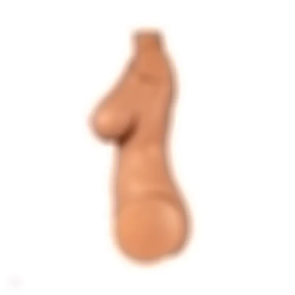 Sex Doll Torso Jessica – Bild 7