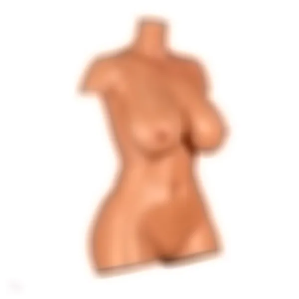Sex Doll Torso Aiko – Bild 12