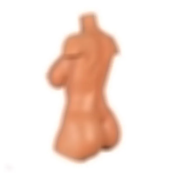 Sex Doll Torso Aiko – Bild 8