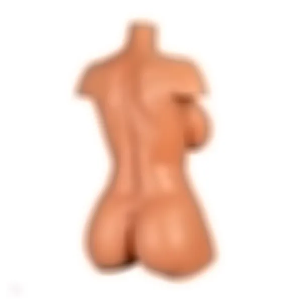Sex Doll Torso Aiko – Bild 10