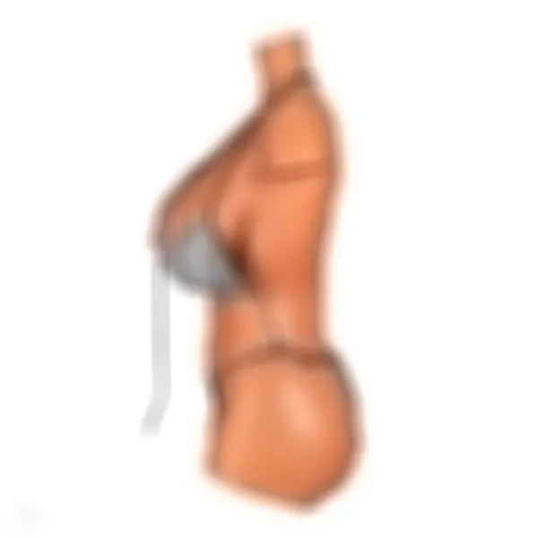 Sex Doll Torso Aiko – Bild 5