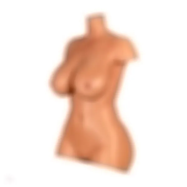 Sex Doll Torso Aiko – Bild 6