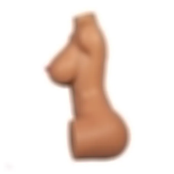 Sex Doll Torso Sarah – Bild 5
