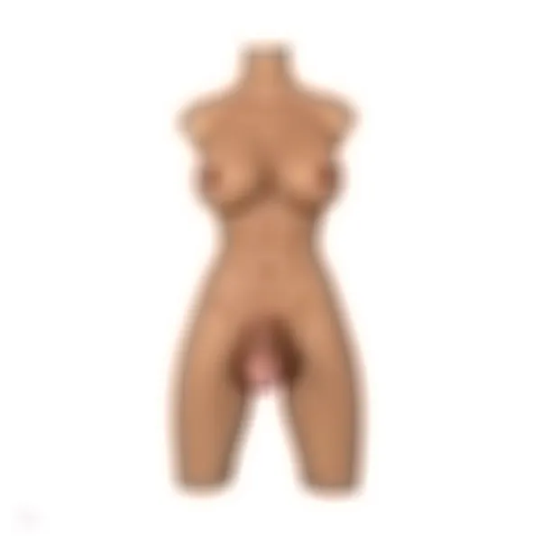 Sex Doll Torso Rina