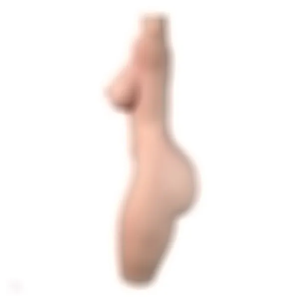 Sex Doll Torso Savannah – Bild 7