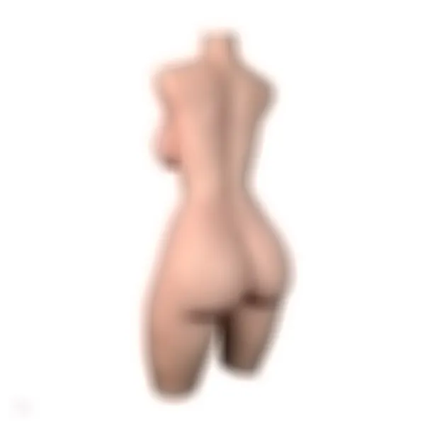 Sex Doll Torso Savannah – Bild 8