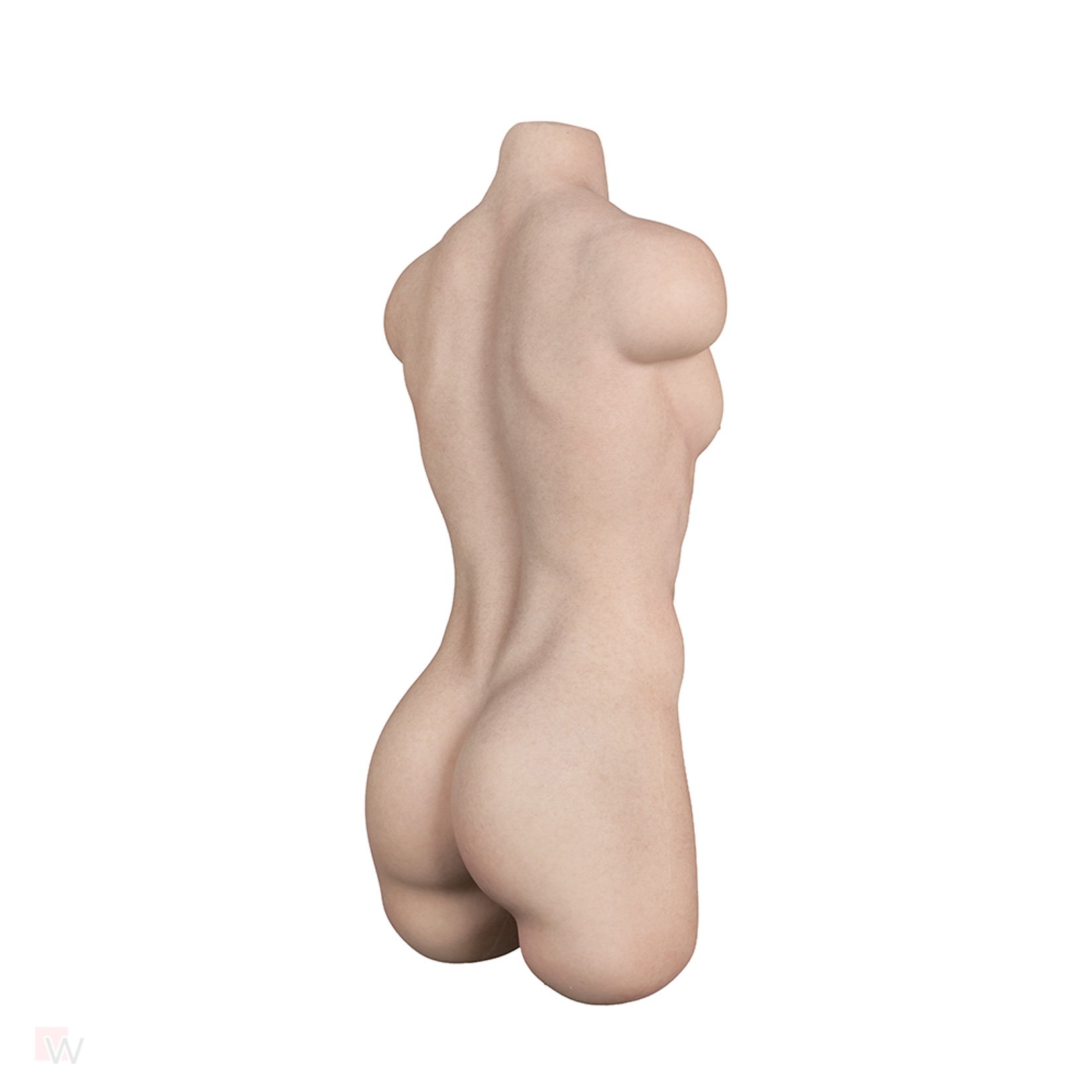 Sex Doll Torso Chris – Bild 6