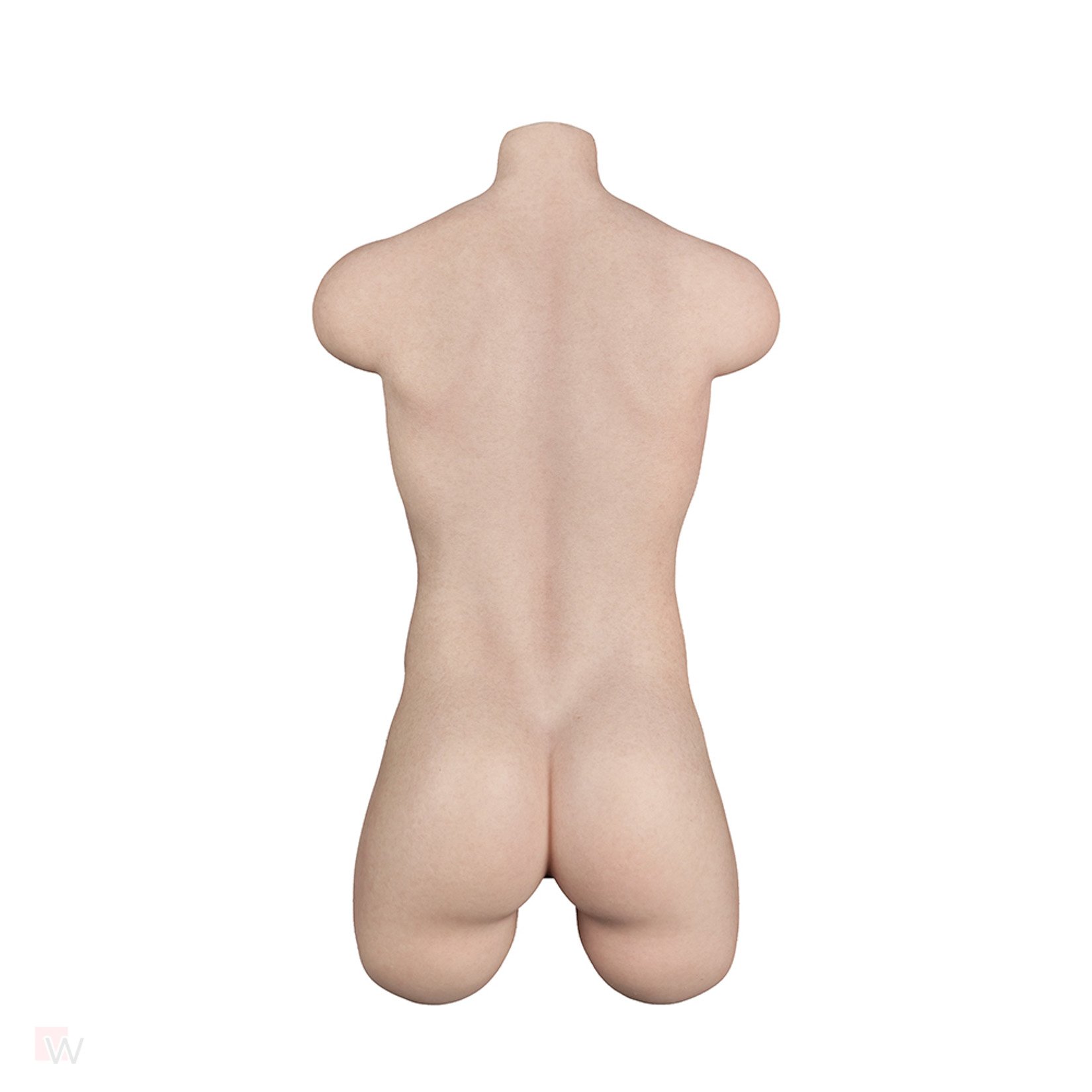 Sex Doll Torso Chris – Bild 4