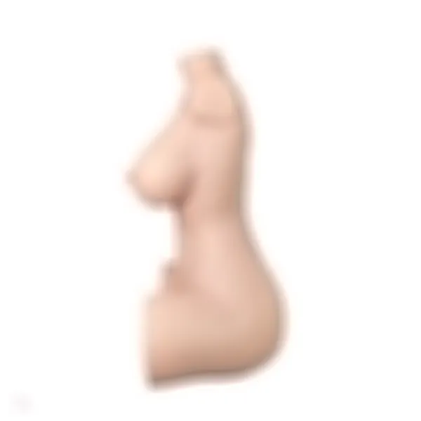 Sex Doll Torso Aiko – Bild 7