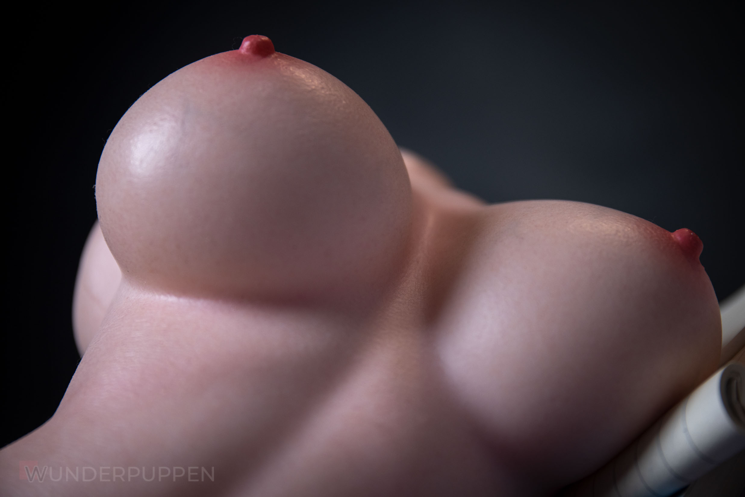 Sex Doll Torso Jasmine – Bild 9