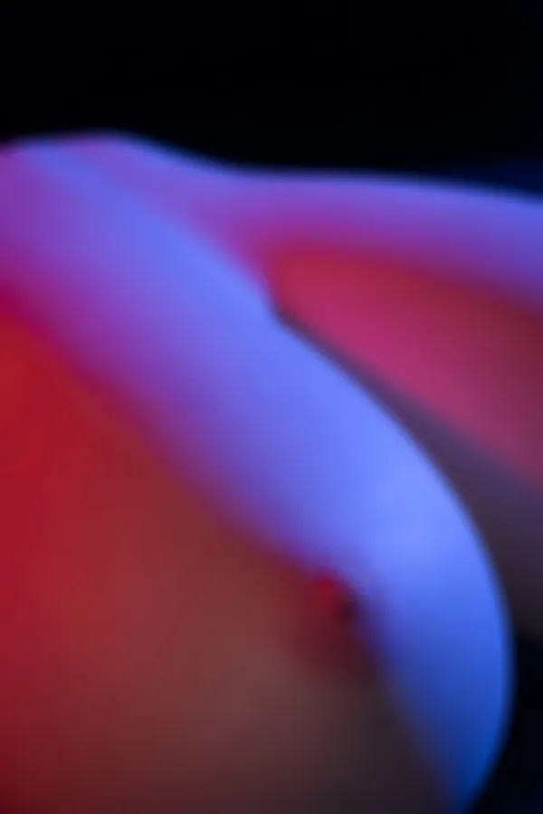 LV - Muse III – Bild 5