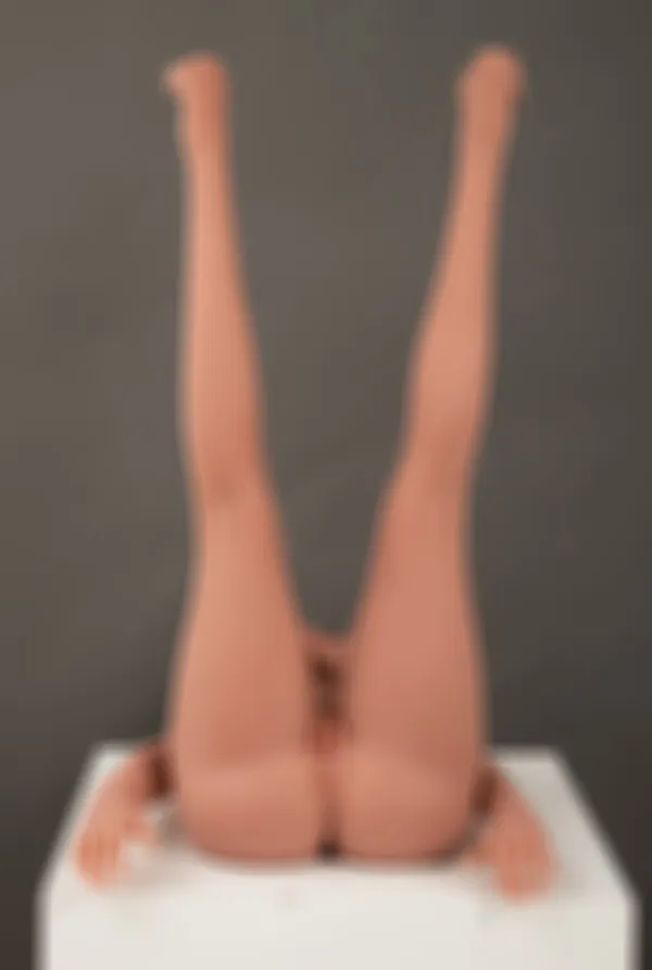 Anny - Aibei 153cm Hybrid – Bild 16