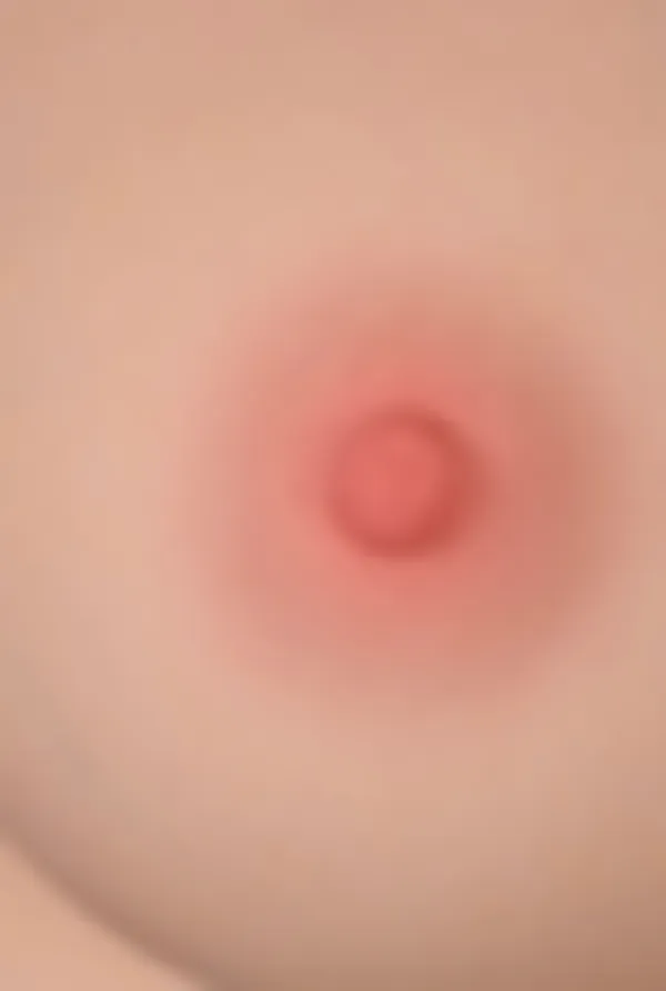 Naimei - Tayu Nova 148cm D – Bild 9